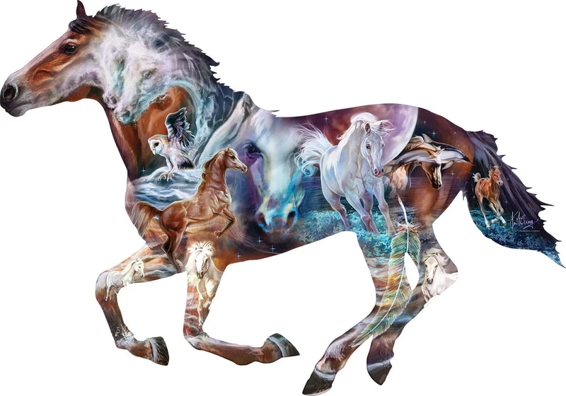 The Mystery of the Horse, Kim McElroy