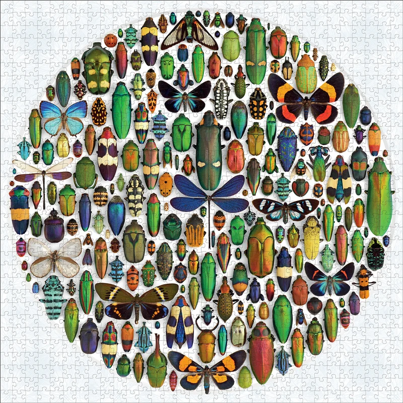 PFG Exquisite Creatures II: Insect Art, Christopher Marley