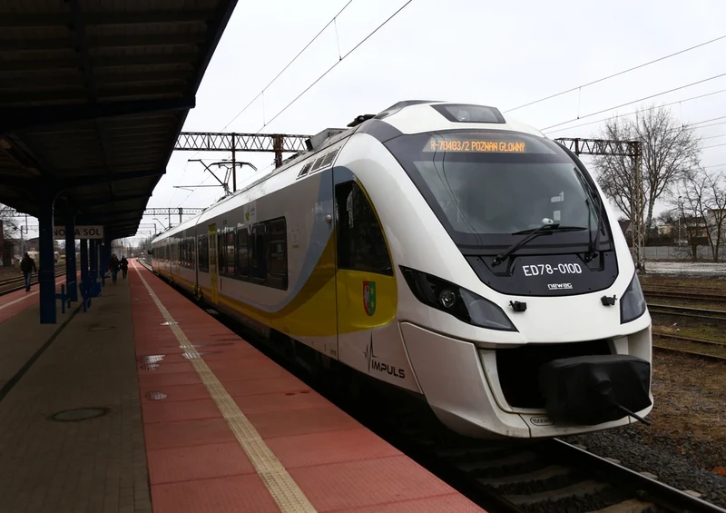 38787 Reisen - Zug Puzzle