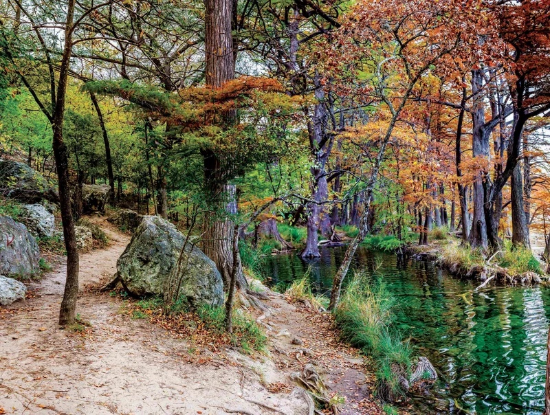 Mossy Oak (2-sided) - Cypress Trees (550pcs)