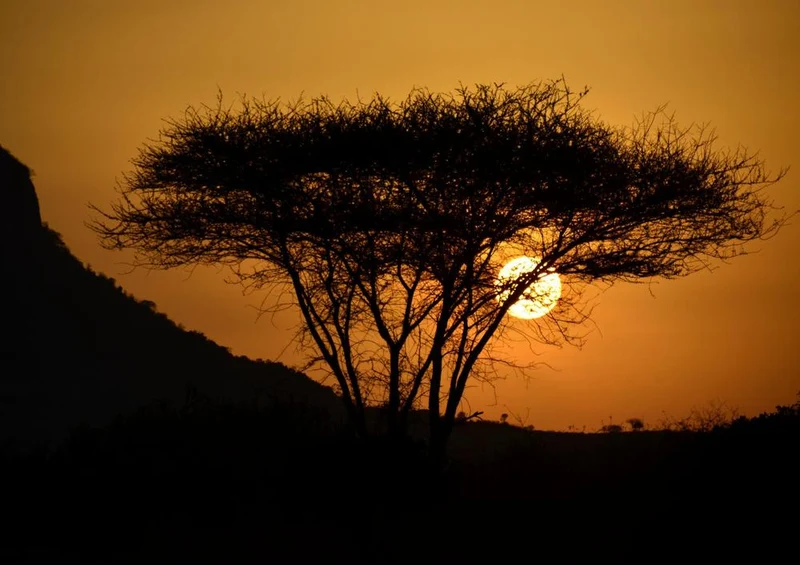 24362 Reisen - Sonnenuntergang Puzzle