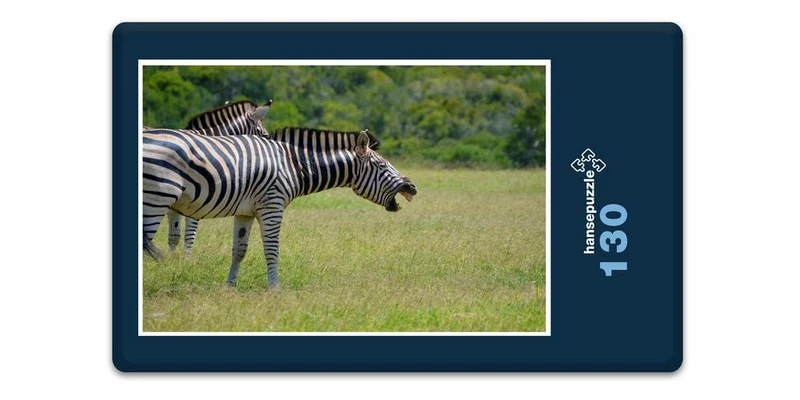 18464 Reisen - Zebra Puzzle