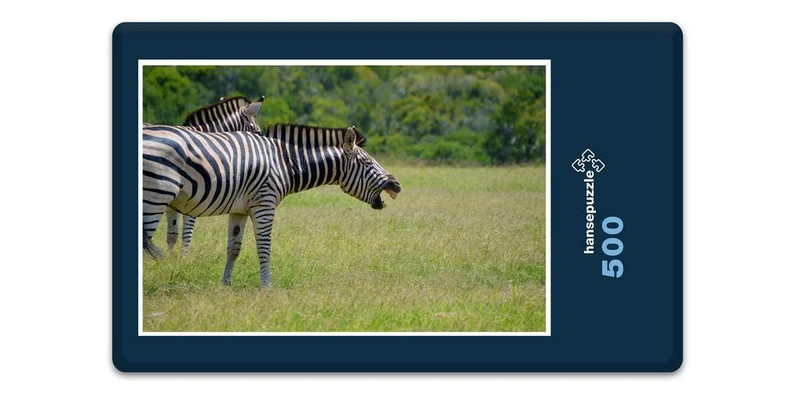 18464 Reisen - Zebra Puzzle