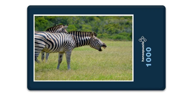 18464 Reisen - Zebra Puzzle