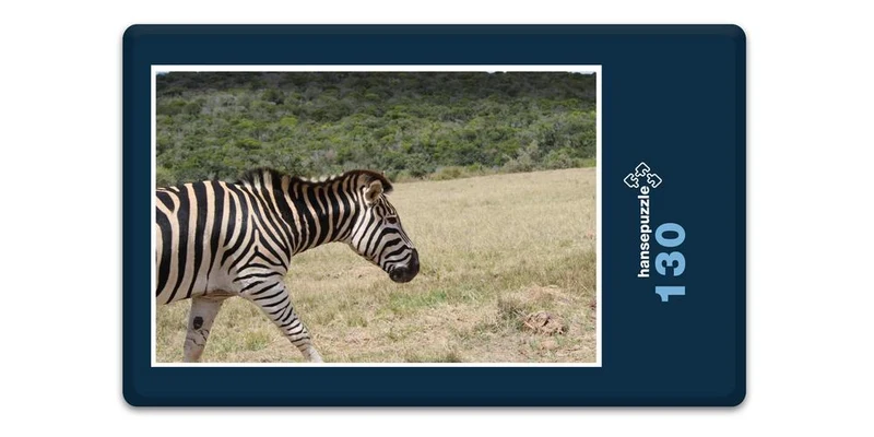 18463 Reisen - Zebra Puzzle
