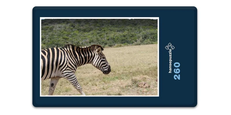 18463 Reisen - Zebra Puzzle