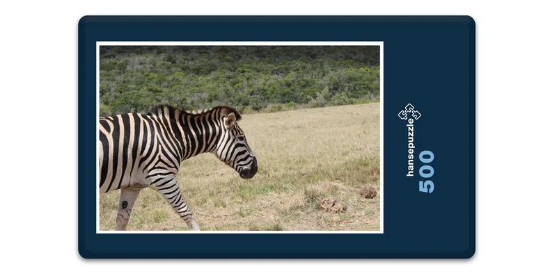 18463 Reisen - Zebra Puzzle