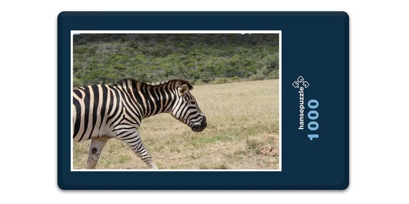 18463 Reisen - Zebra Puzzle