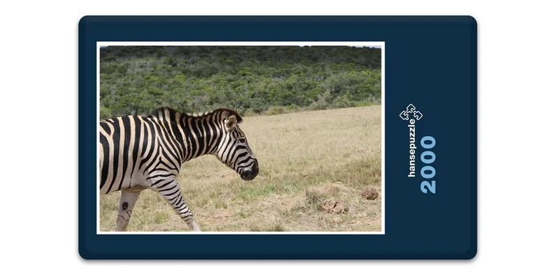 18463 Reisen - Zebra Puzzle