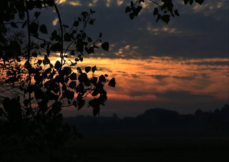 38872 Reisen - Sonnenuntergang Puzzle