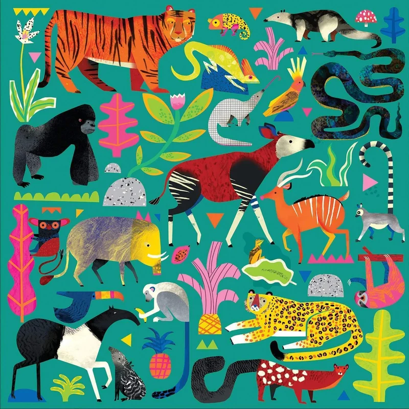 Rainforest Animals