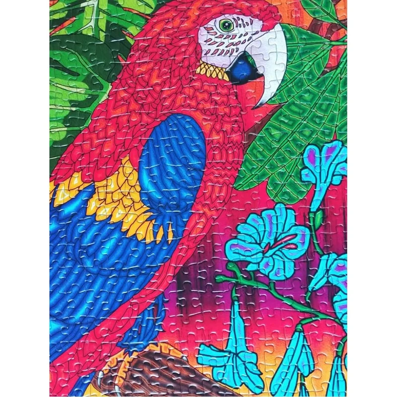 Tropics, Anie Maltais