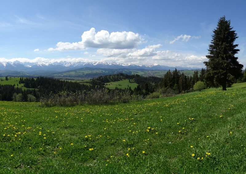 41215 Reisen - Landschaft Puzzle