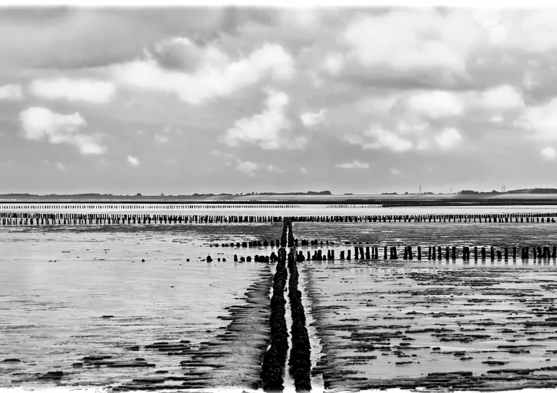 41204 Reisen - Wattenmeer Puzzle