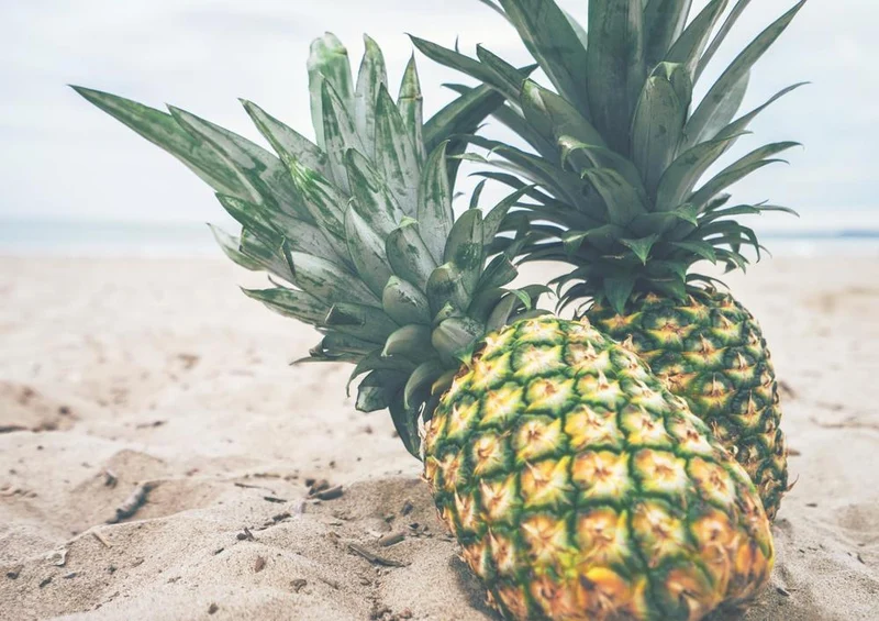 32919 Natur - Ananas Puzzle