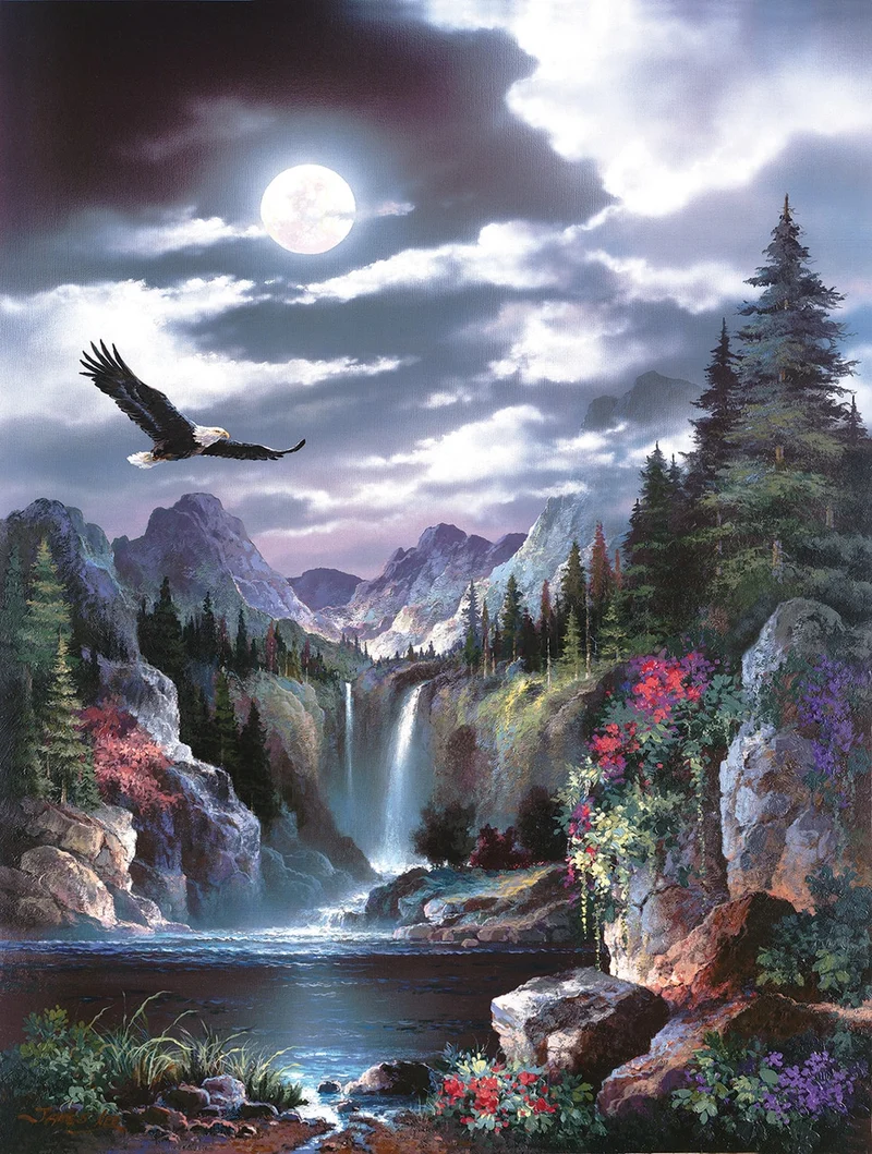Moonlit Eagle, James Lee