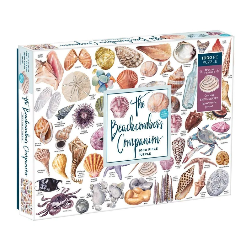 The Beachcomber's Companion