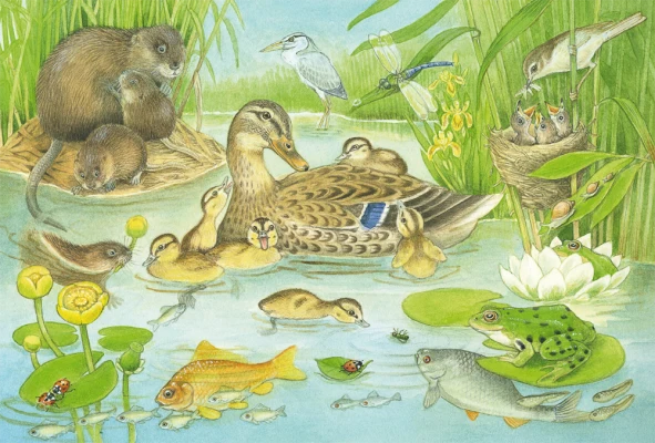 Animal family, 3x48 pcs