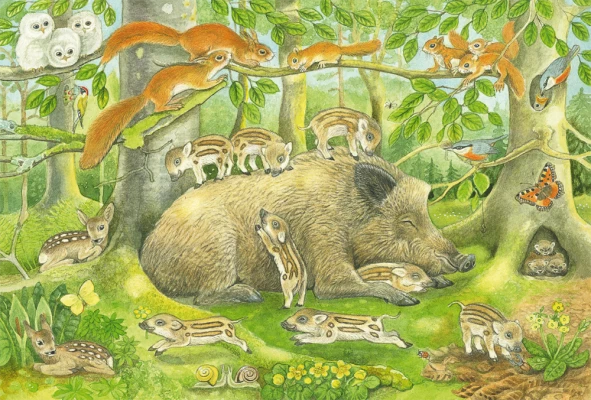 Animal family, 3x48 pcs