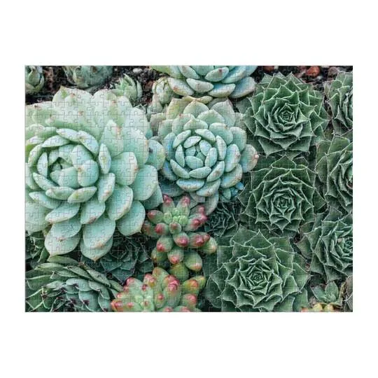 Succulent Garden - Double Sided Puzzle