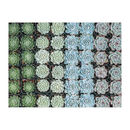 Succulent Garden - Double Sided Puzzle