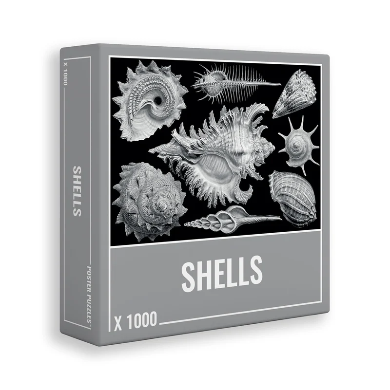 Shells