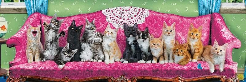 Kitty Cat Couch (Panoramic)