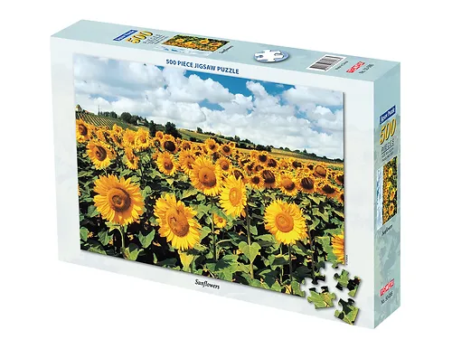 Sunflowers