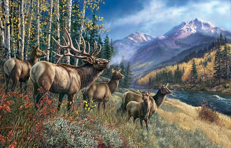 Elk Anthem, James Meger