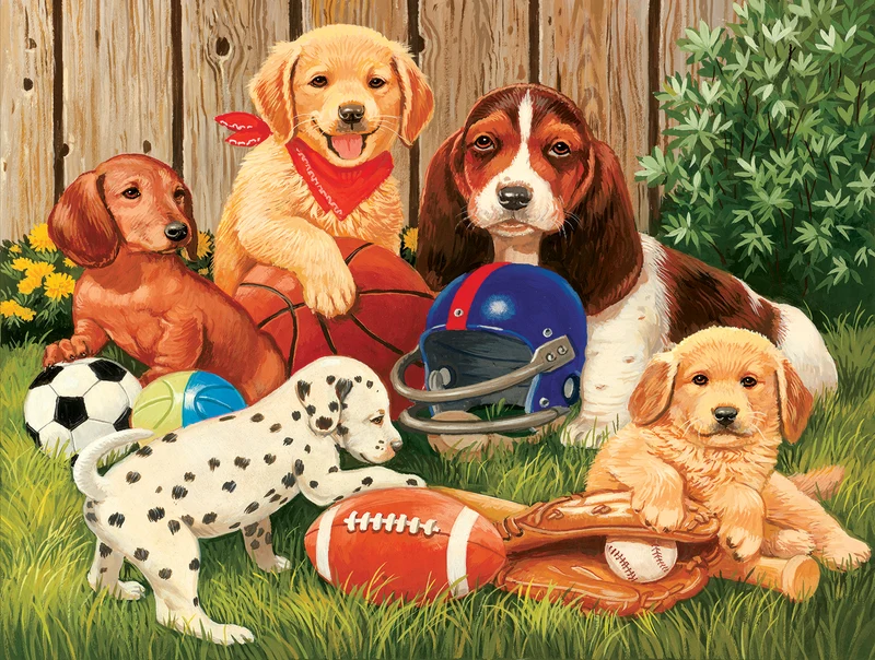 Sports Fans, William Vanderdasson