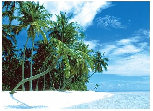 Island of Peace