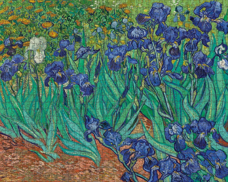 PFG Irises, Van Gogh