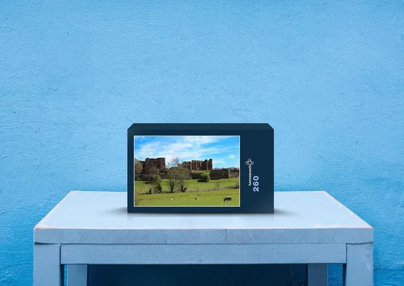 32446 Reisen - Kenilworth castle Puzzle