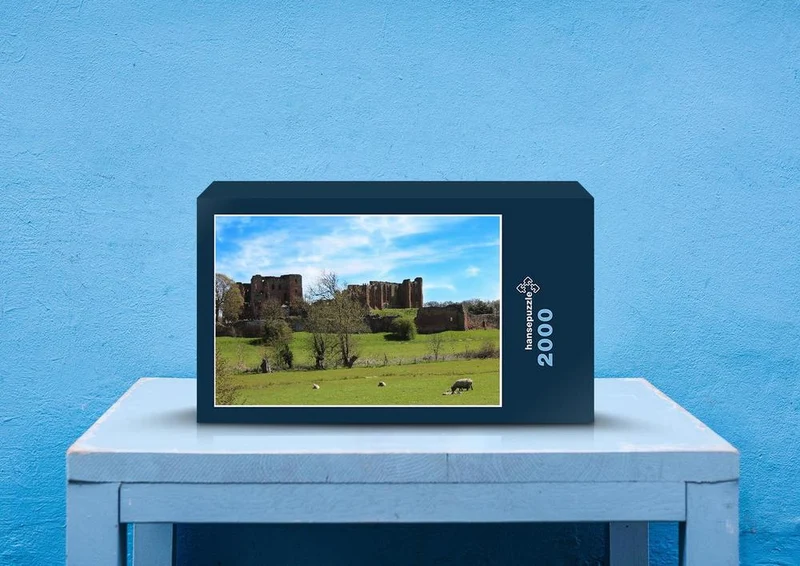 32446 Reisen - Kenilworth castle Puzzle