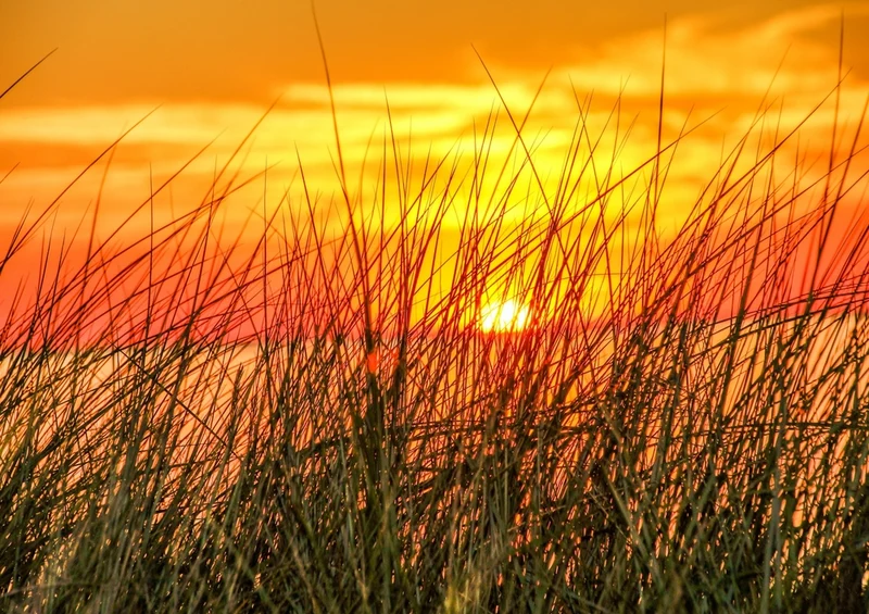 38416 Reisen - Sonnenuntergang Puzzle