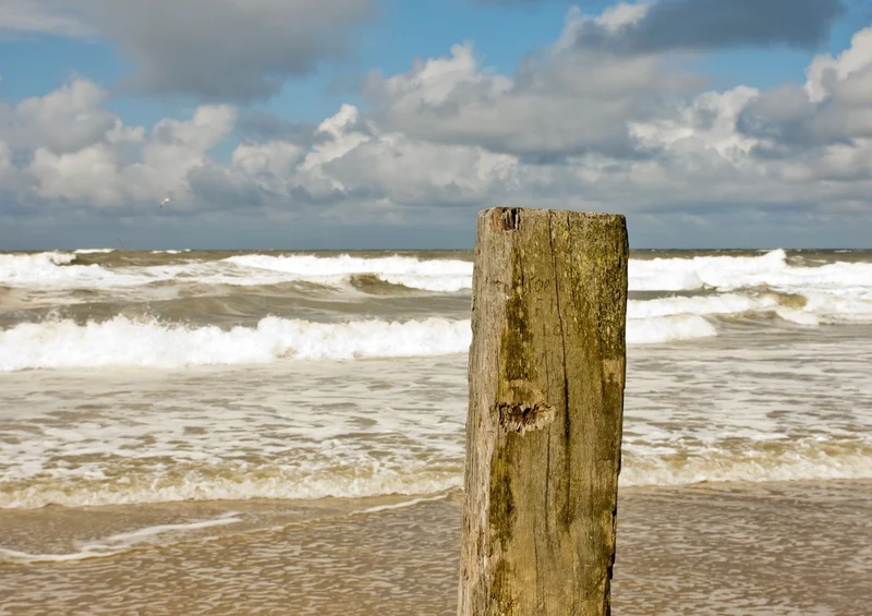 40278 Reisen - Nordsee Puzzle