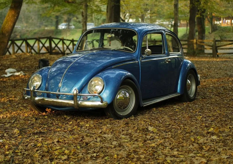 20916 Reisen - Klassiker im Wald Puzzle