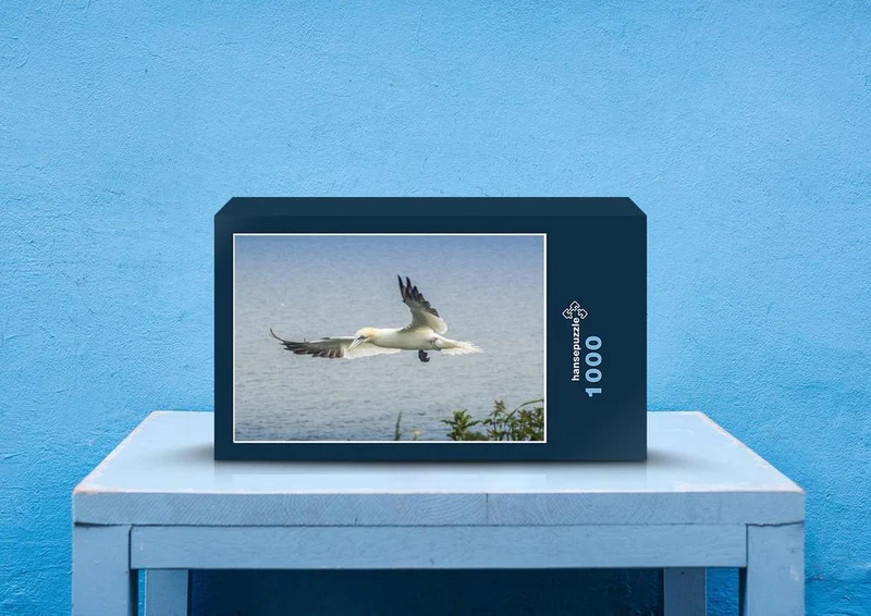 40237 Tierwelt - Gannet Puzzle