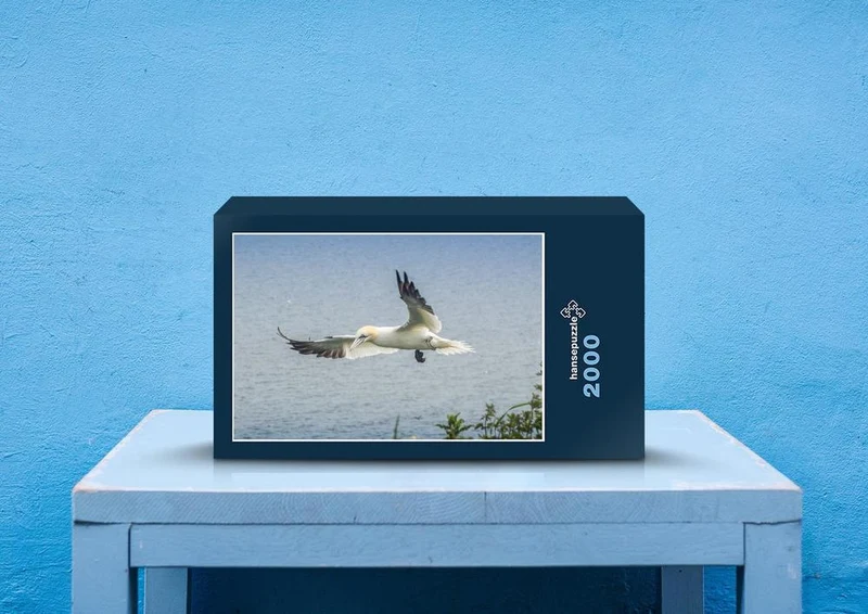 40237 Tierwelt - Gannet Puzzle