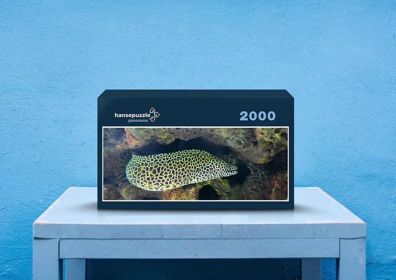 40072 Reisen - Muräne Puzzle