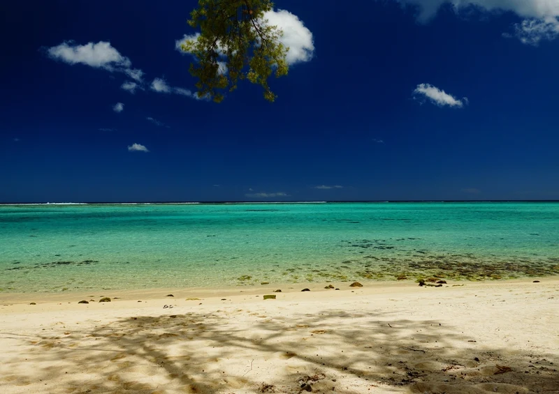 38312 Reisen - Mauritius Puzzle