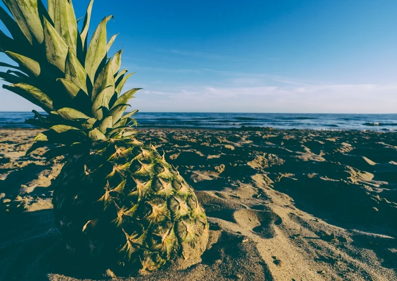 40527 Reisen - Ananas Puzzle