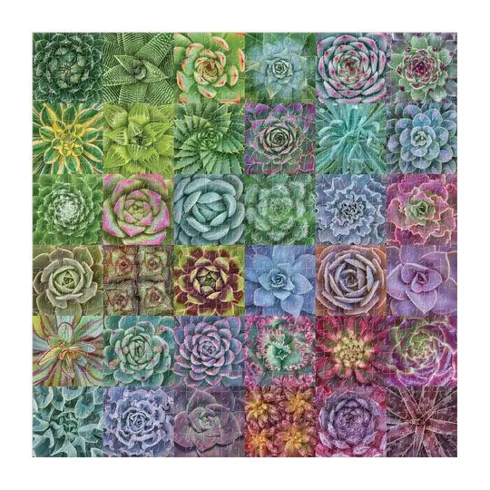 Succulent Spectrum