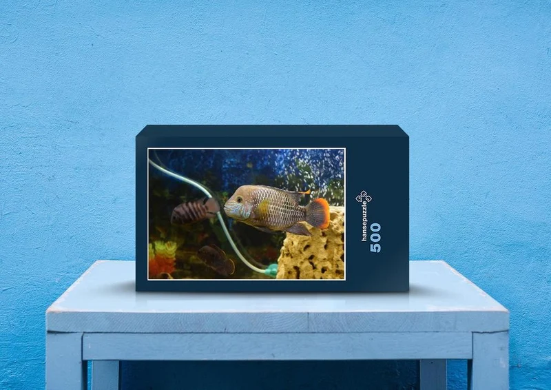 39991 Tierwelt - Fisch Puzzle