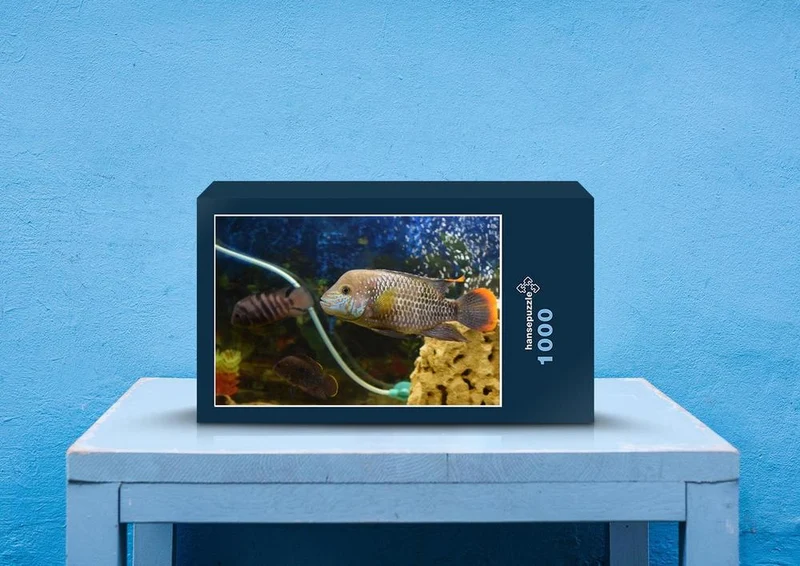 39991 Tierwelt - Fisch Puzzle