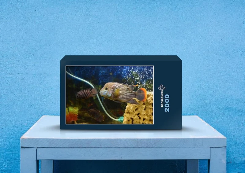 39991 Tierwelt - Fisch Puzzle