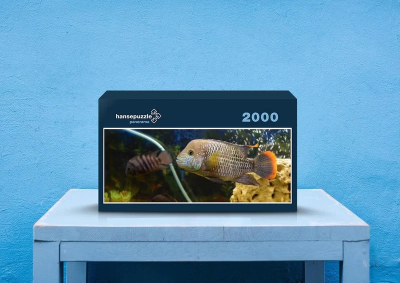 39991 Tierwelt - Fisch Puzzle