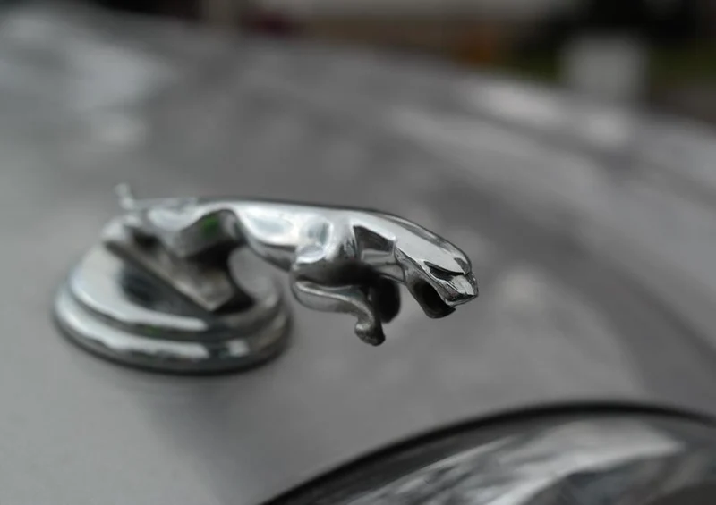32222 Fortbewegung - Jaguar Puzzle