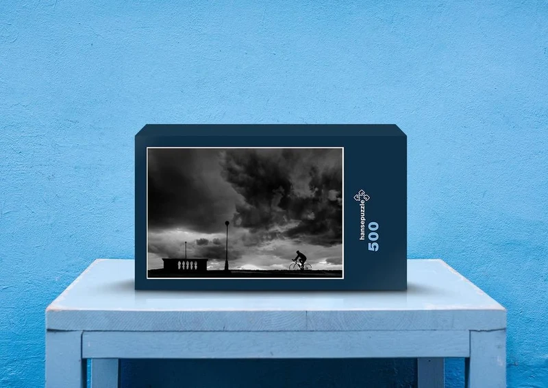 32294 Fortbewegung - Silhouette Puzzle