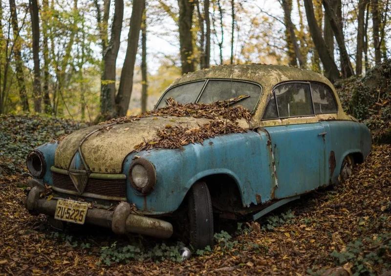 20893 Natur - Auto im Wald Puzzle